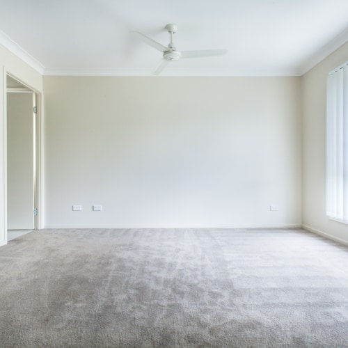 Stainmaster Carpet